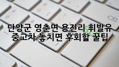 단양군 영춘면 용진리 휘발유 중고차, 놓치면 후회할 꿀팁🍯
