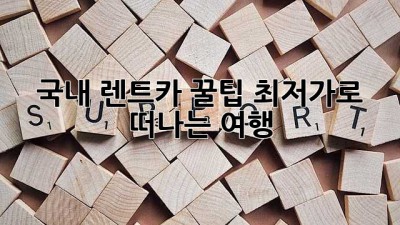 국내 렌트카 꿀팁🍯 최저가로 떠나는 여행!